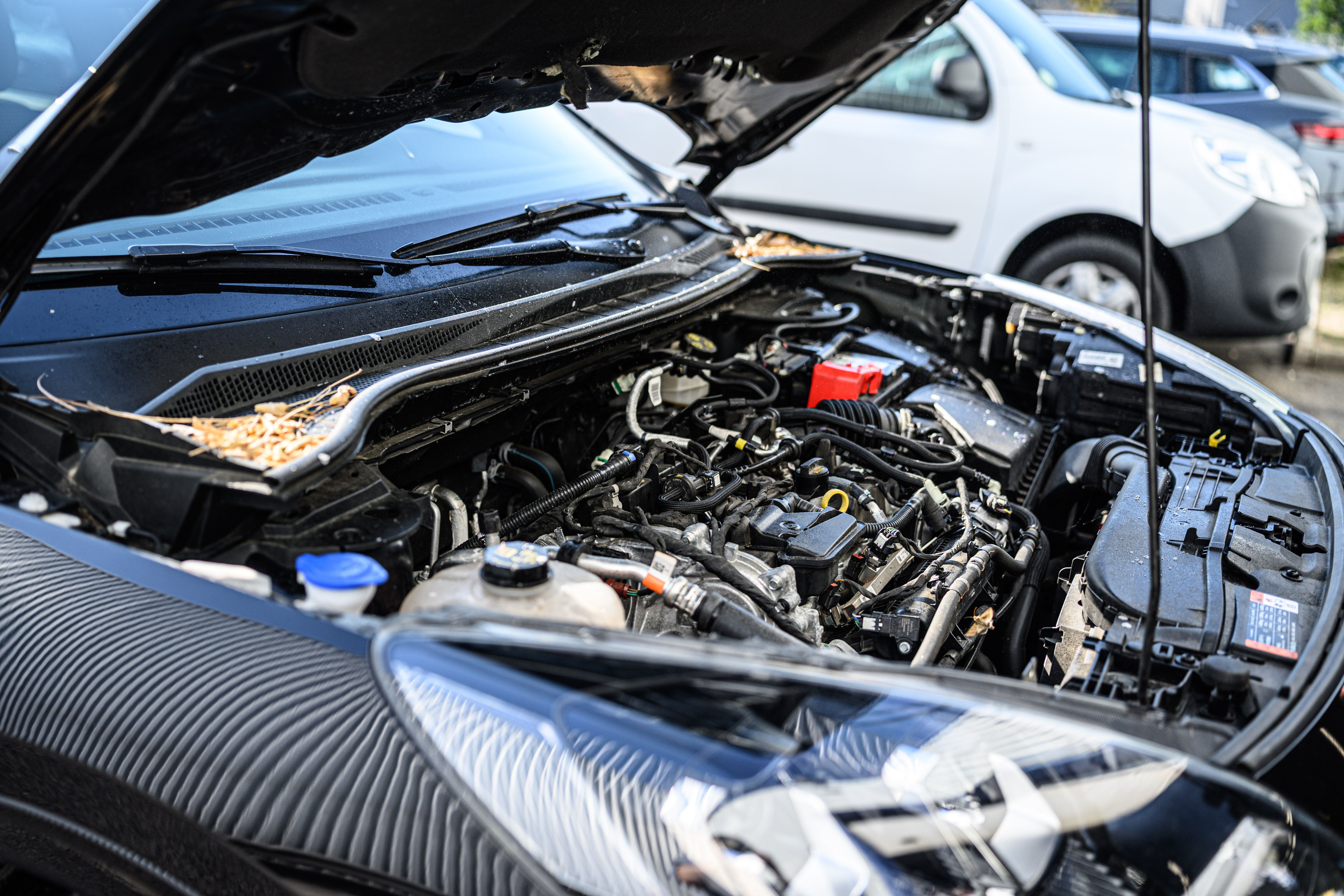 Entretien voiture d’occasion : guide complet pour rouler sereinement